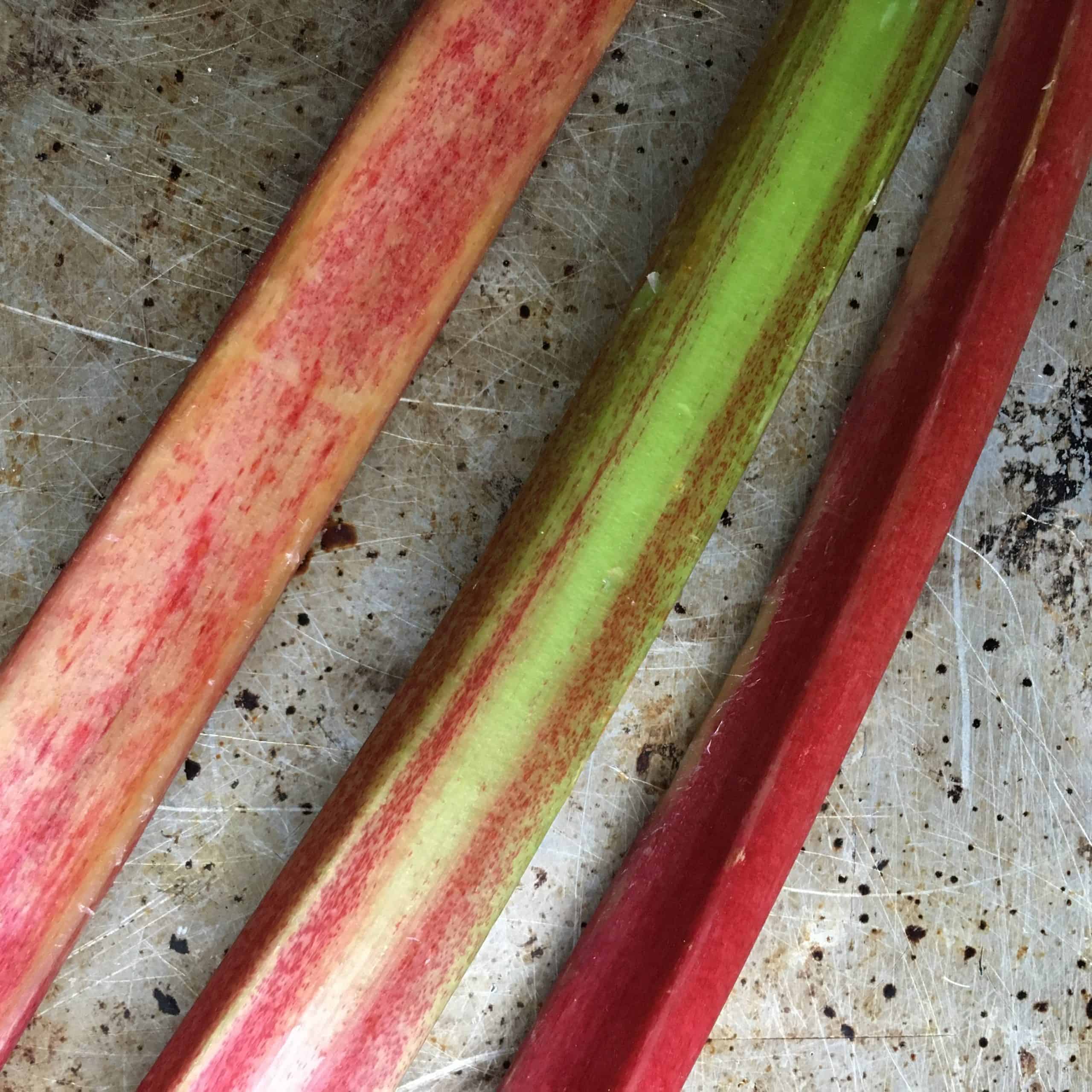 closeup of three pieces of fresh rhubarb 2