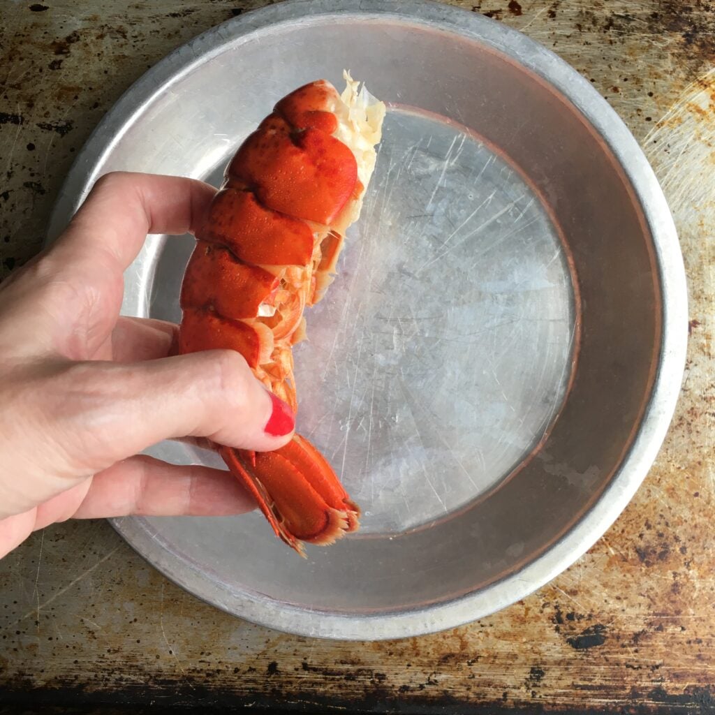 hand holding a bright red cooked lobster not yet removed from its shell side view