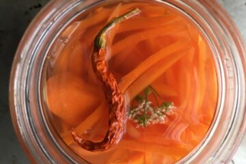 top down view of pickled spicky carrots with a dried sichuan bird's eye chili in the shape of a "J" on top and a small cilantro flower to the right