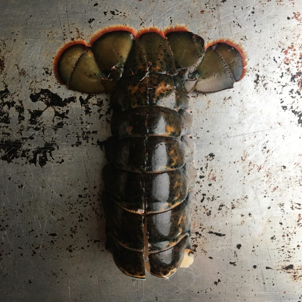 raw blackish with coral trim lobster tail fanned out lying on a used aluminum sheet pan with a slit cut down the length of the tail running vertically