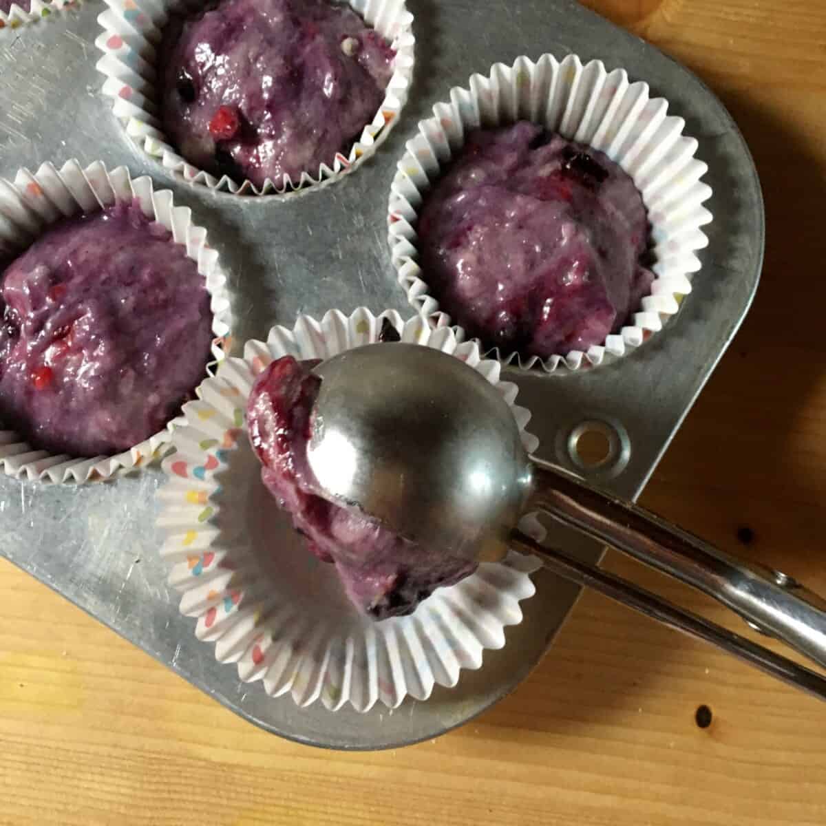 filling muffin tins with a measuring scoop