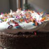 closeup of double layer devil's food cake with sprinkles