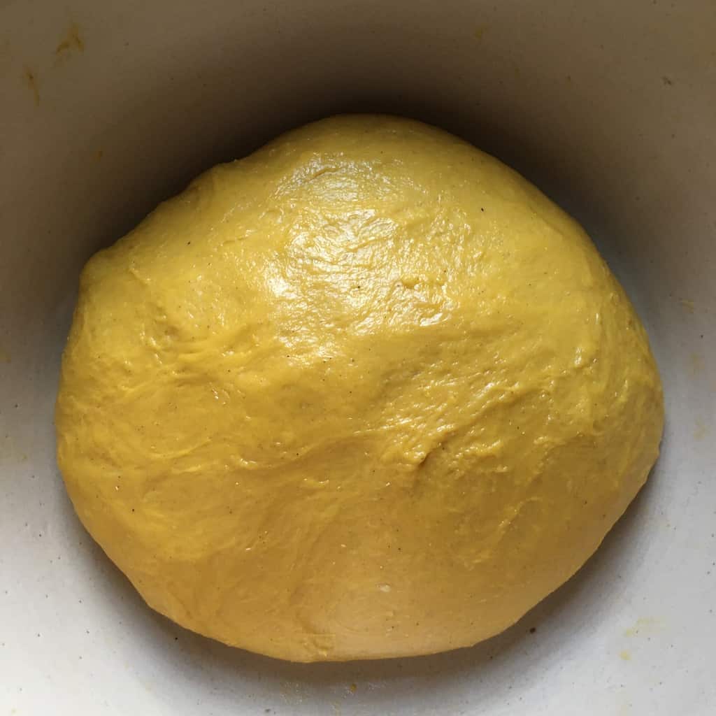 Colomba dough before adding any apricots