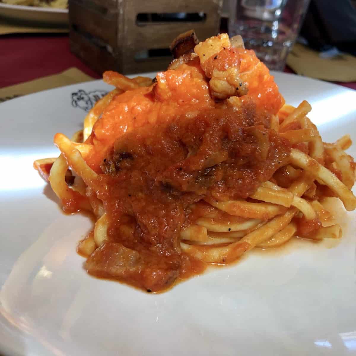 Amatriciana with handmade quadrato spaghetti from Il Piccolo Chiosco in Chieti Italy, authentic pasta amatriciana with guanciale.
