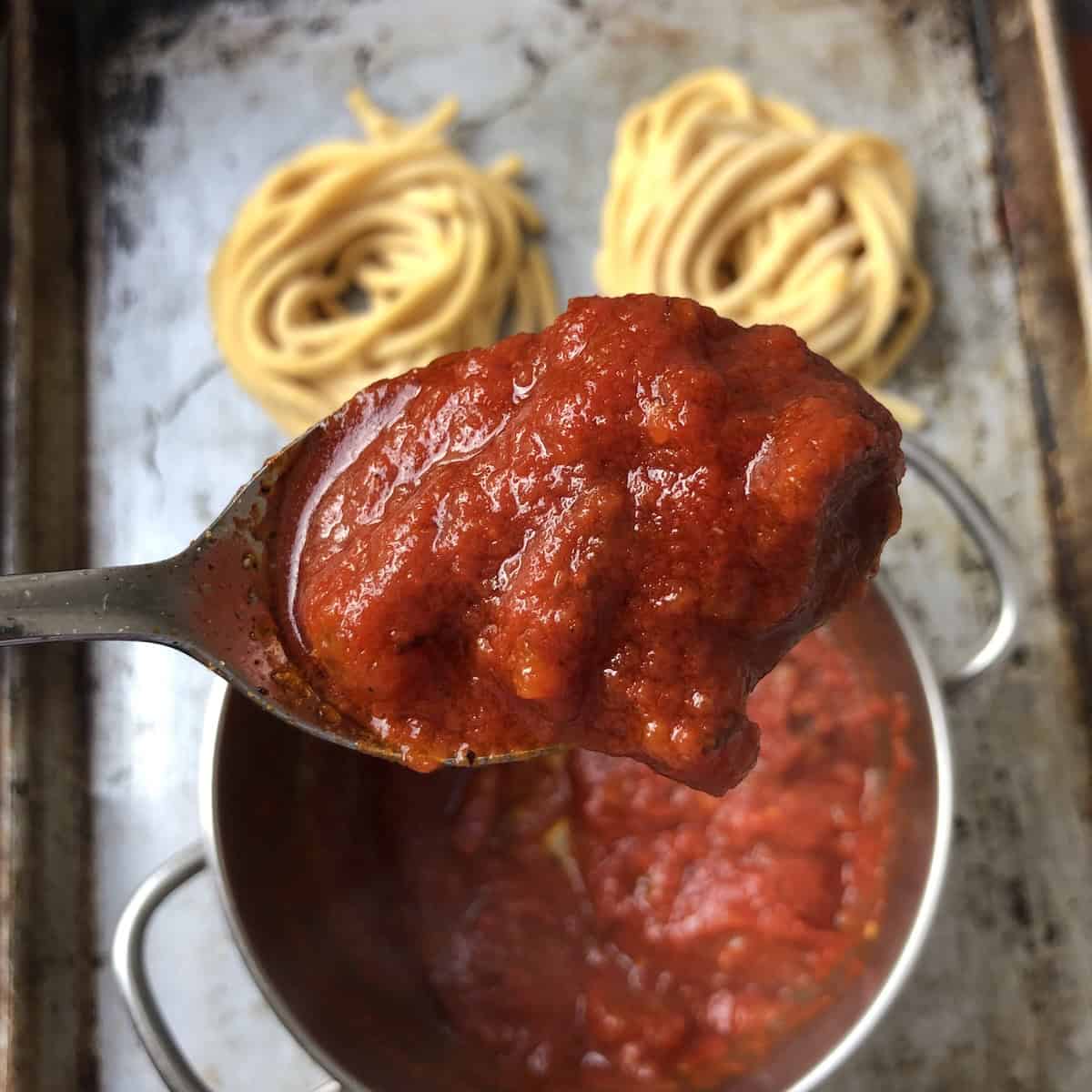 poonful of authentic amatriciana sauce with guanciale without onion held above pot, homemade bucatini pasta nests in background.
