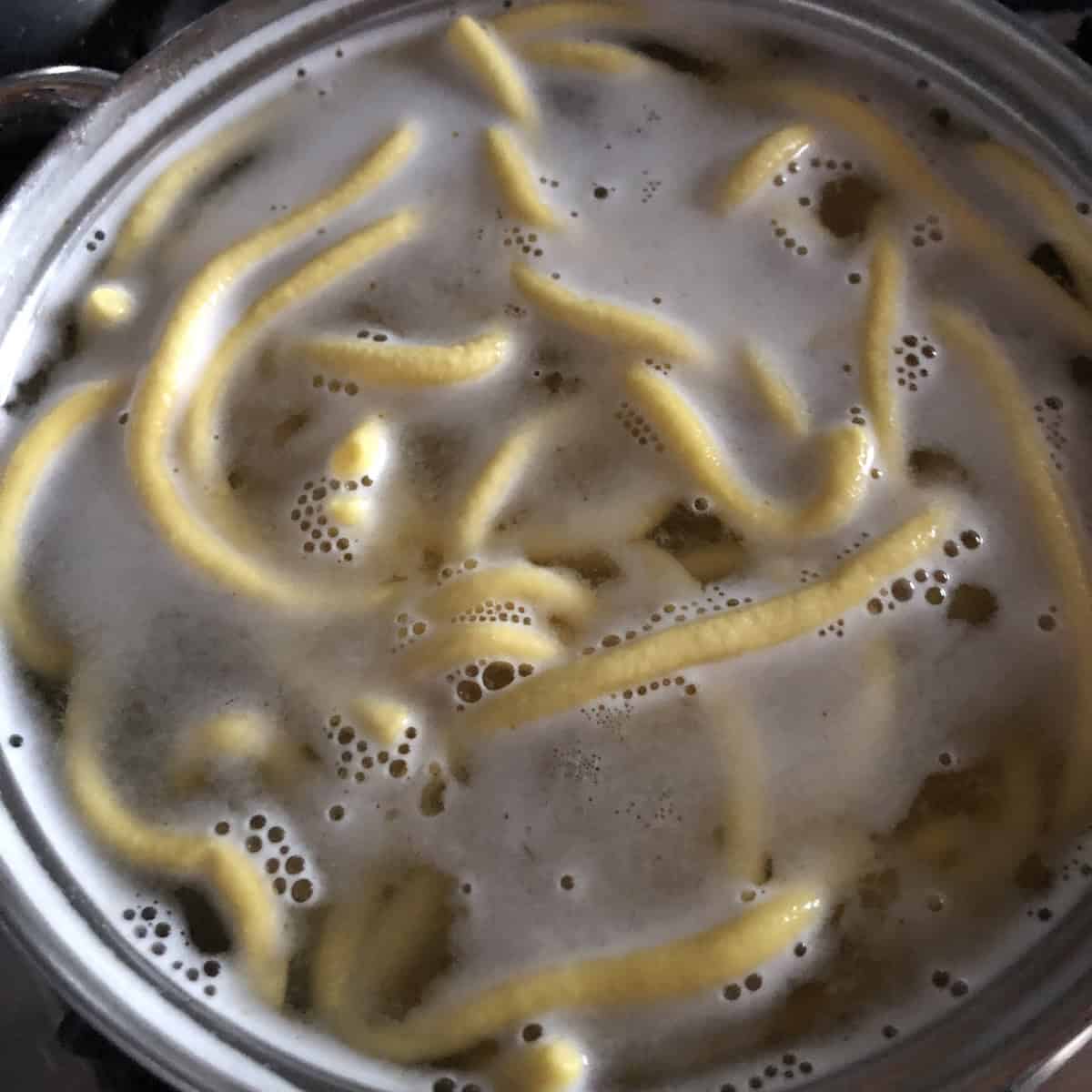 Homemade bucatini pasta cooking in pot of salted boiling water for bucatini all'amatriciana recipe.