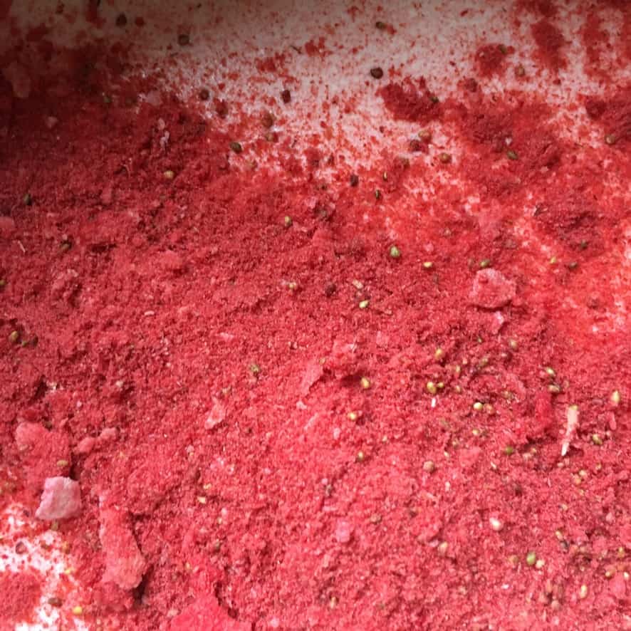 bright red beautiful freeze dried strawberry powder after being pulverized in a vitamix.