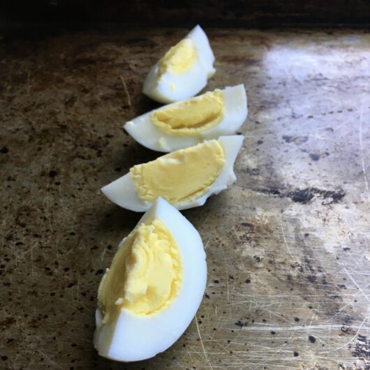 hard boiled eggs that have been sliced in quarters and lined up on a sheet pan in a row with 4 pieces