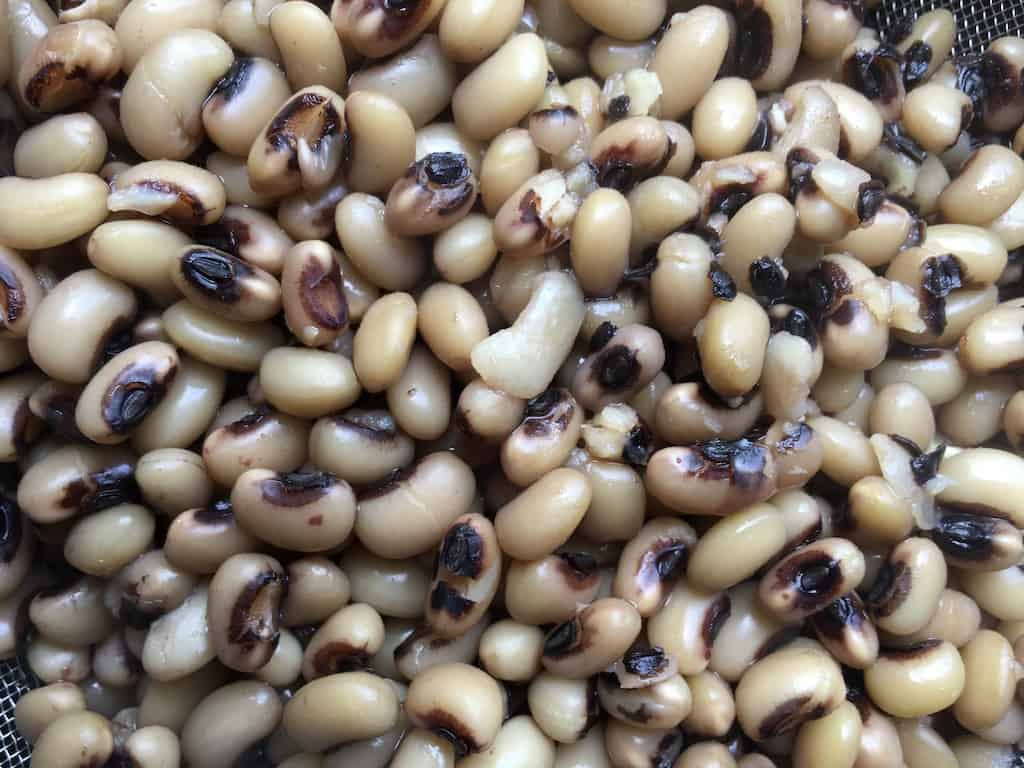 closeup of cooked blackeyed peas