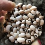 dried black-eyed peas in a round jar with the birdseye view inside