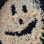 toasted sesame seeds in a dark skillet with a happy face made out of the negative space (a smiling sesame seed face)