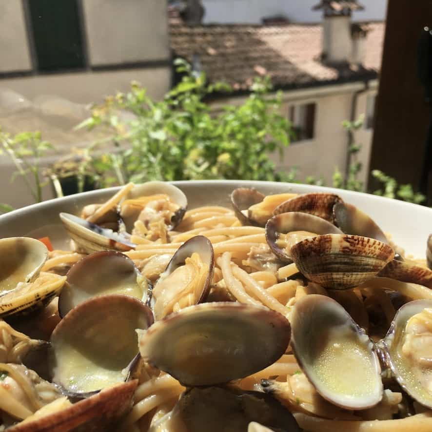 closeup of whole wheat spaghetti with clams and tiny diced red tomatoes in the sunlight glistening and covered in a natural sea sauce with a view out of the window and Italian homes in the background