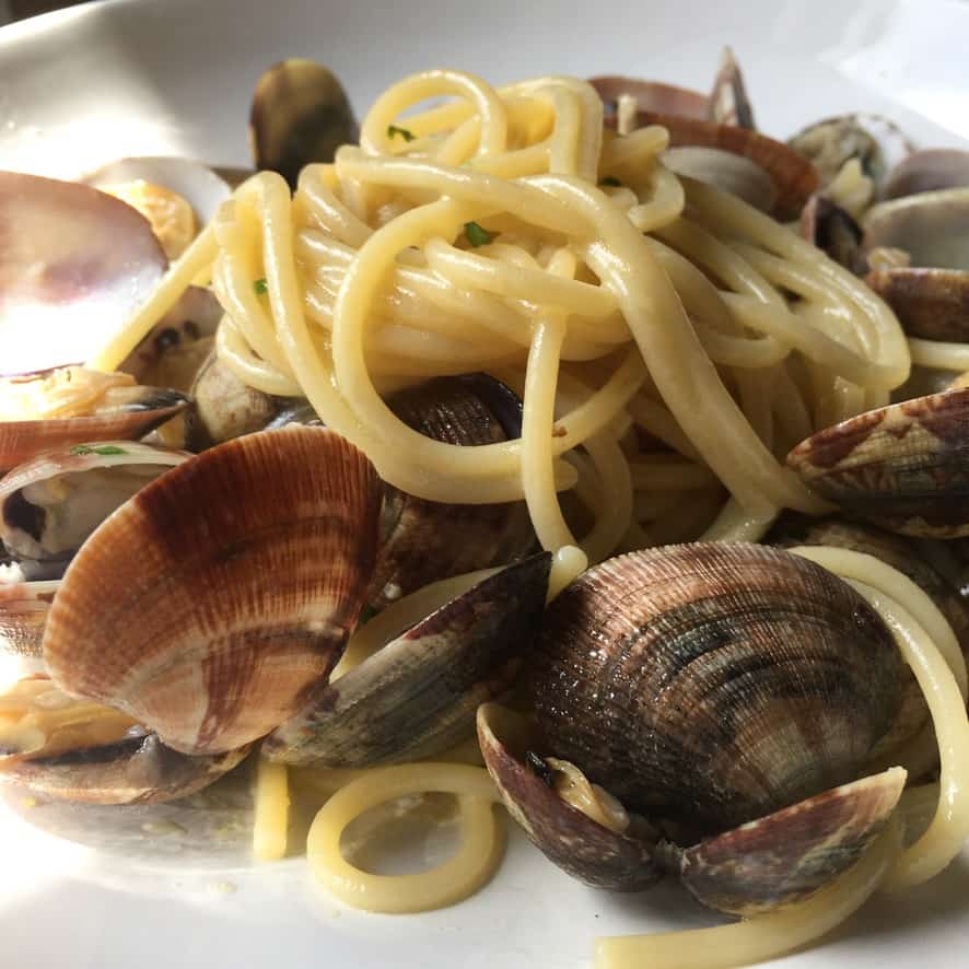 a plate full of spaghetti with clams