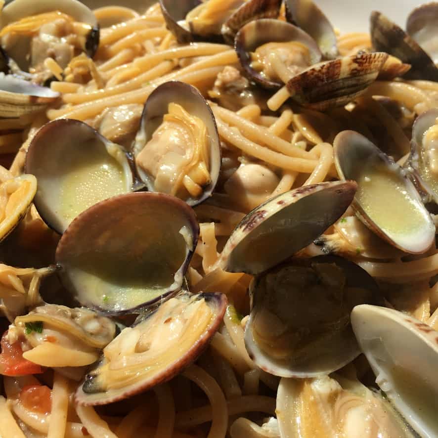 closeup of whole wheat spaghetti with clams and tiny diced red tomatoes in the sunlight glistening and covered in a natural sea sauce