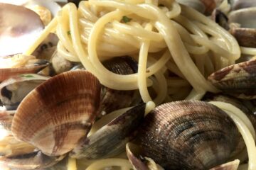 closeup of a white pasta bowl filled with spaghetti and clams