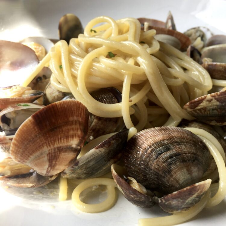 closeup of a white pasta bowl filled with spaghetti and clams