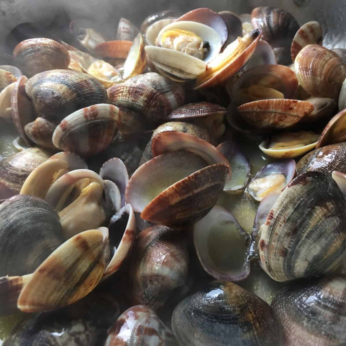 Opened clams transferred to a bowl to stop cooking for linguine in clam sauce, preventing rubbery overcooked clams.

