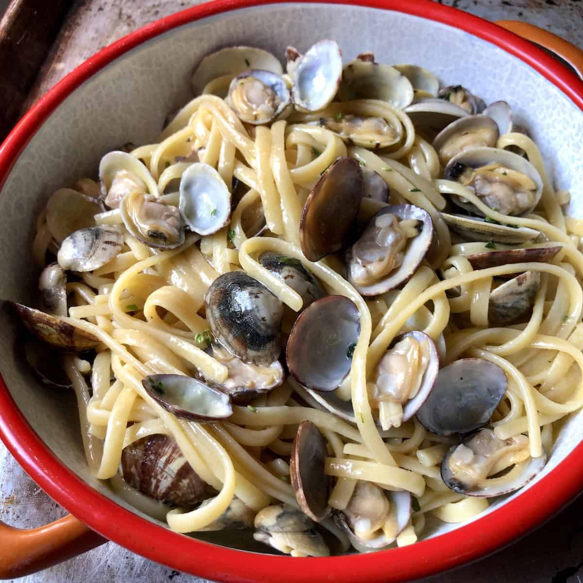 Closeup of homemade linguine and clams with veraci clams in their shells in a shallow serving dish, clam pasta recipe in a white clam sauce like an Italian restaurant.
