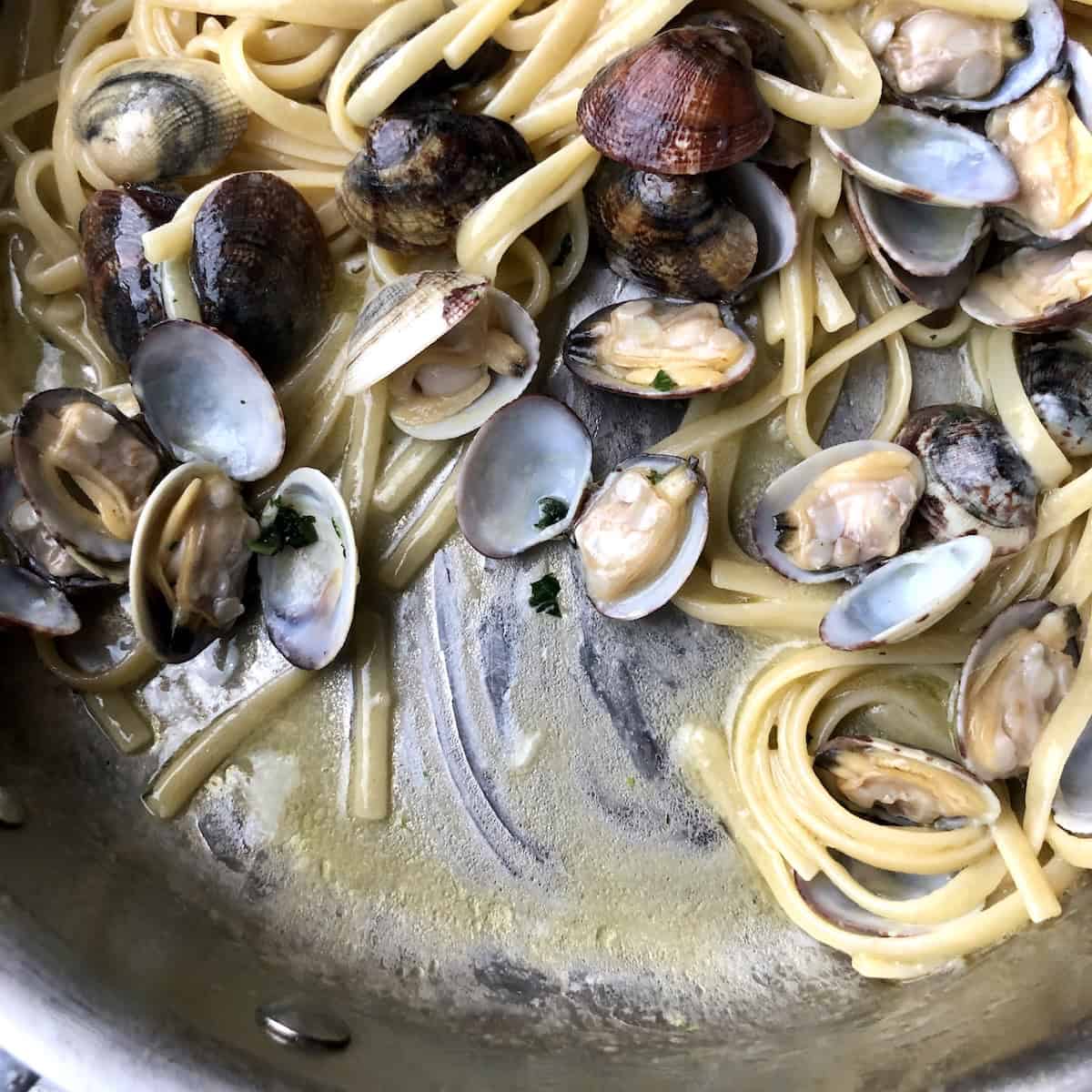 Linguine with clam sauce in a pan with the pasta pulled aside to show the glossy emulsified clam sauce consistency, clams in white wine sauce with parsley on linguine pasta.
