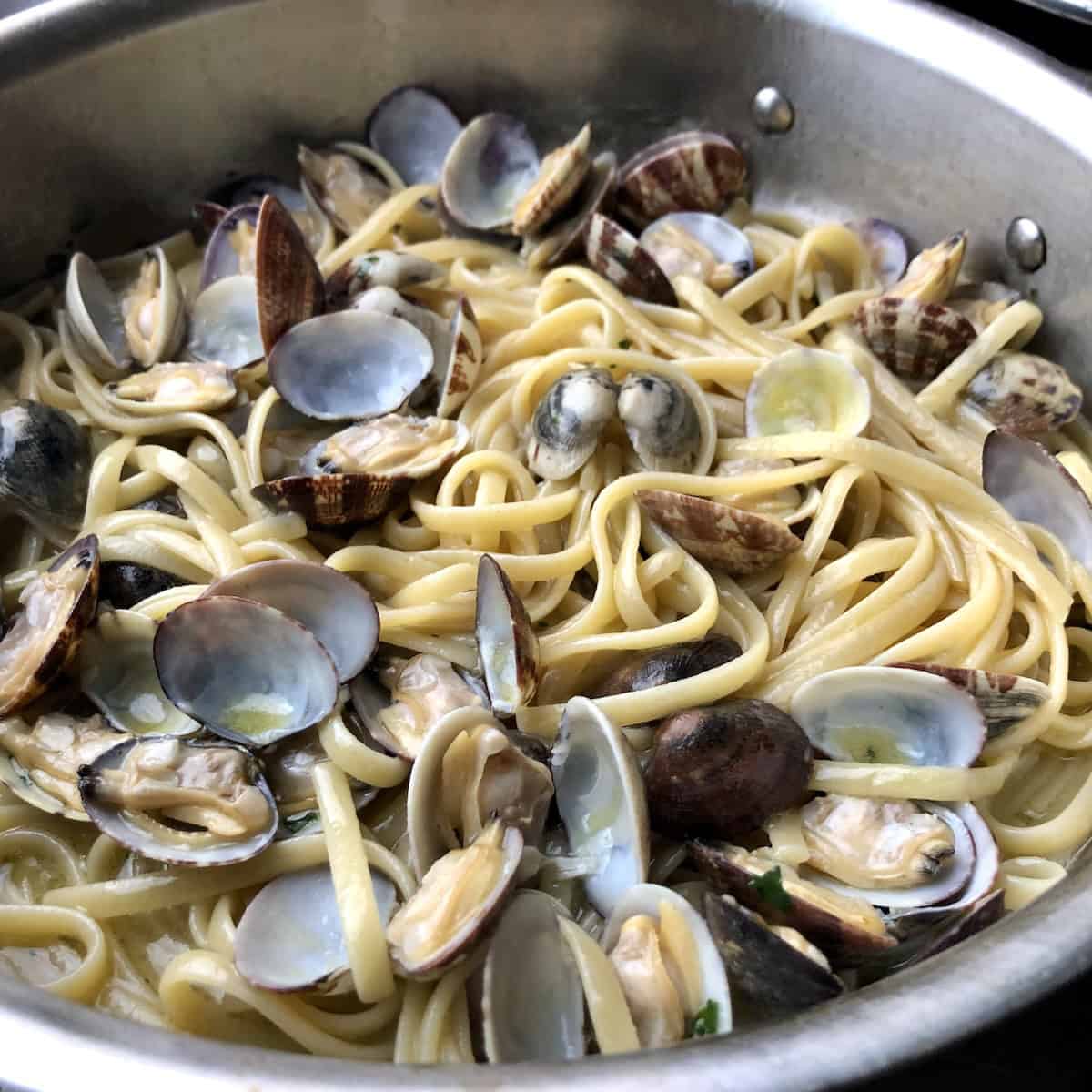 A saute pan of homemade linguine with clam sauce in a white wine clam sauce with shells on, linguine and clams recipe tossed made with Italian Veraci clams and linguine pasta.
