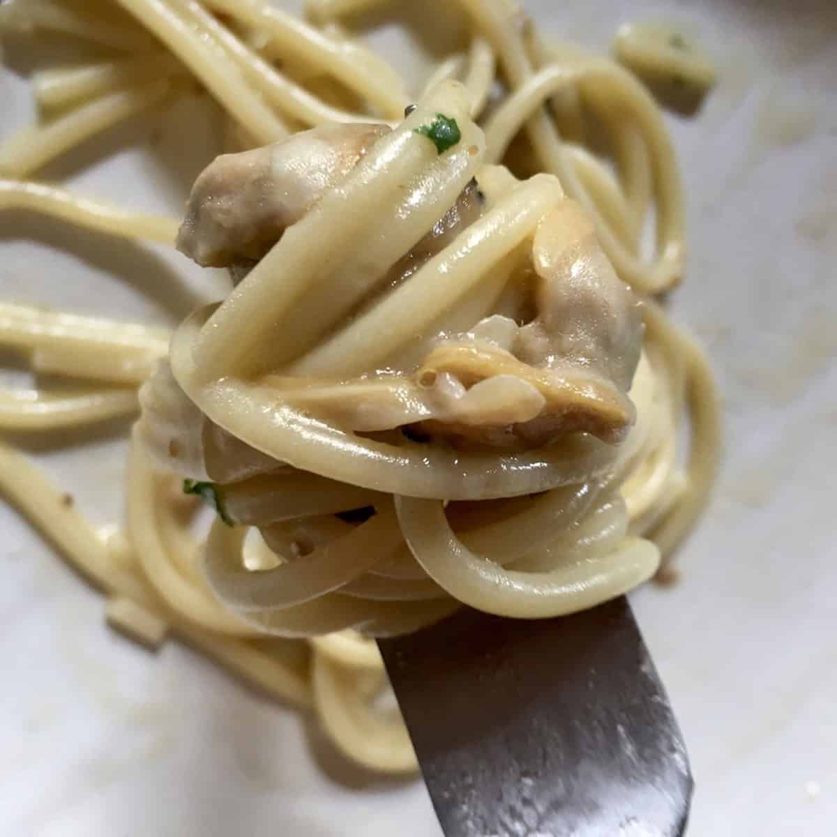 Spaghetti and clams twirled around a fork with glistening silky sauce (not greasy-looking as when in-authentic butter or cream are used) coating each noodle, perfect bite of clam spaghetti ready to eat.
