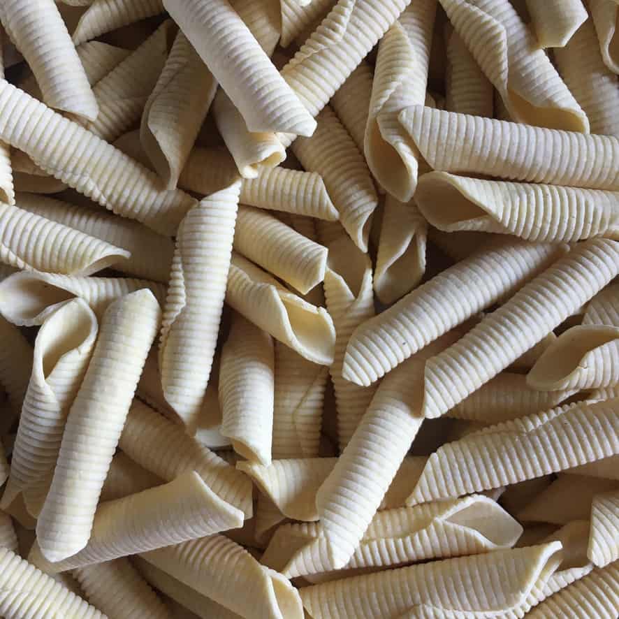 raw garganelli pasta closeup