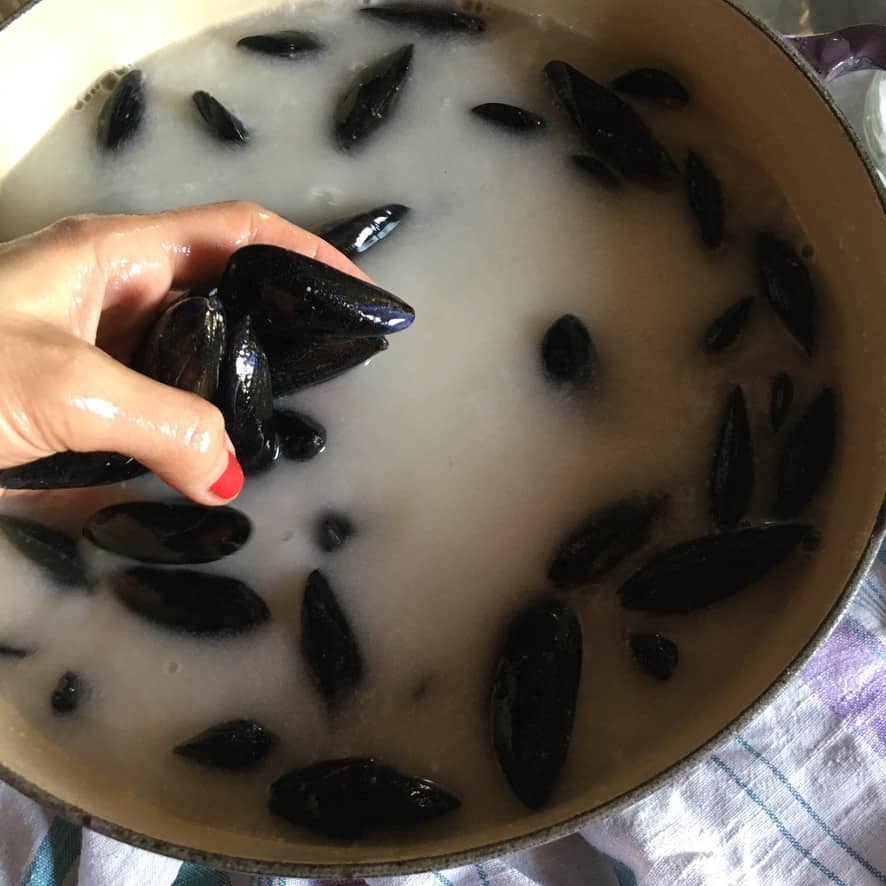 my hand holding a handful of black mussels I've grabbed out of the soaking mussels below in a bowl of cloudy flour and sea salt water