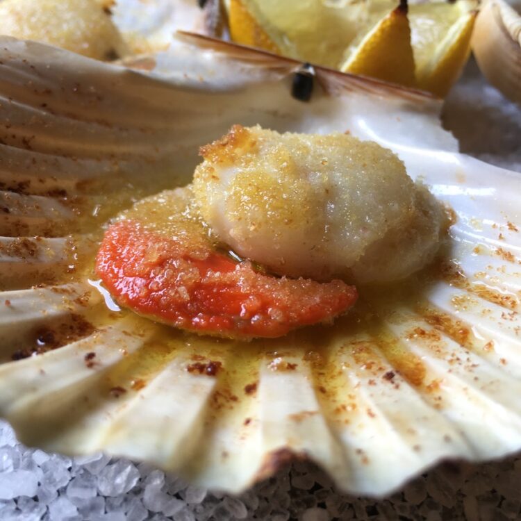a beautifully broiled diver sea scallop in its shell with slightly crispy and golden brown edges and glistening in oil
