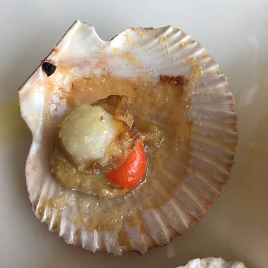 broiled and crispy gratined scallop on the half shell with coral brightly showing