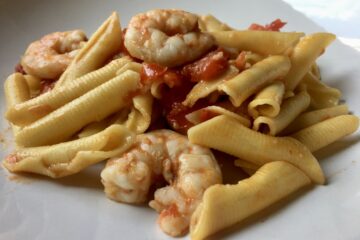 closeup of garganelli egg pasta noodles in a shrimp and tomato sauce
