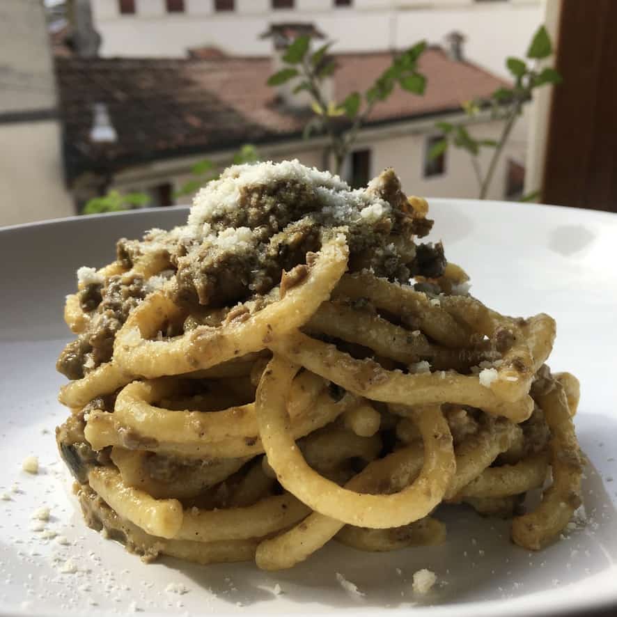a white pasta bowl with a portion of fat bigoli egg pasta noodles covered in duck ragù and sprinkled with Grana Padano grated cheese with a view of Italian rooftops out of the window