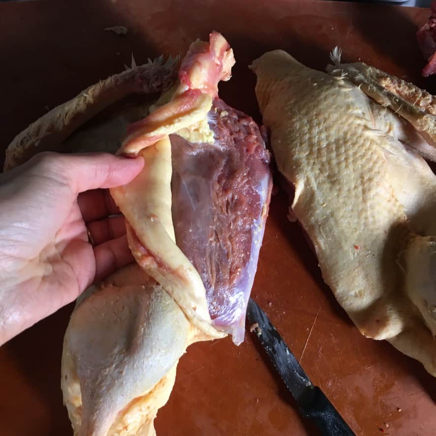 my hand peeling back the skin on the breast of the duck