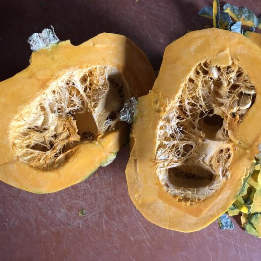 halves of raw kabocha squash on a cutting board with the green peels of skin on the right side and still with the seeds in the middles