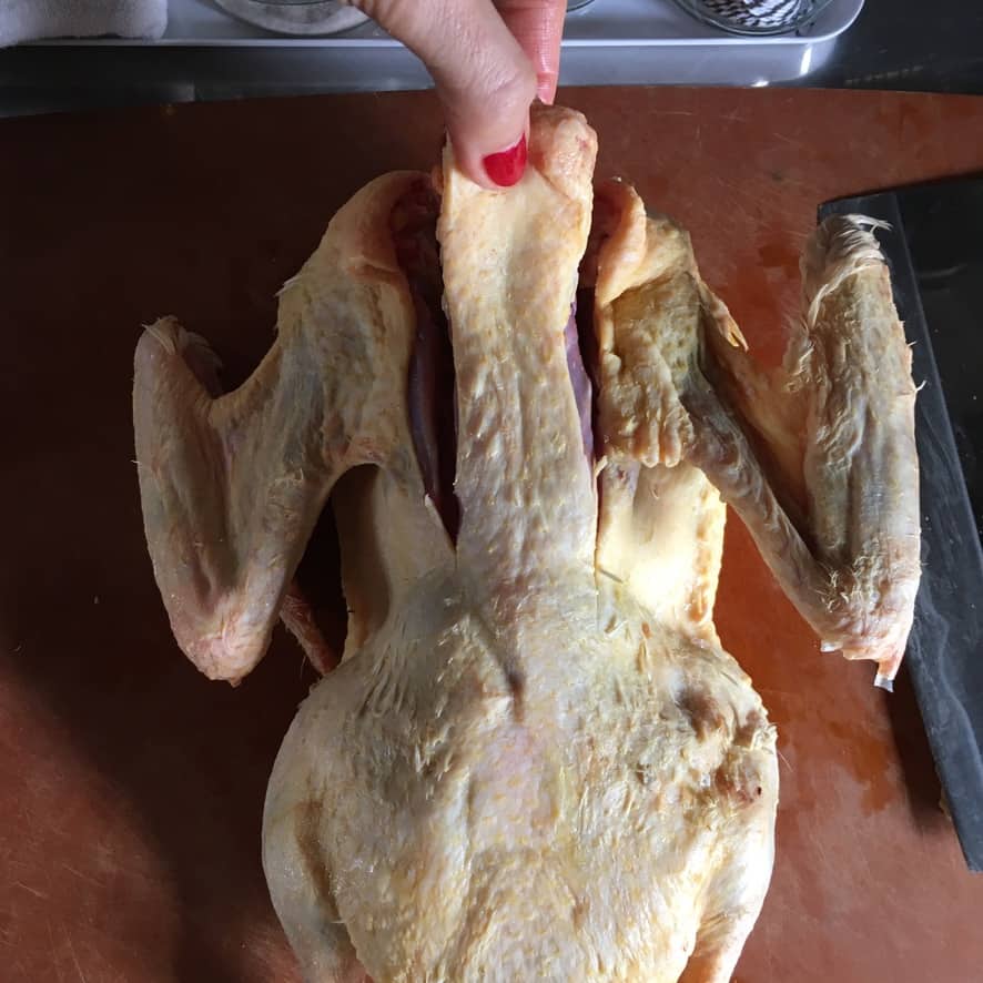 my hand holding the center neck piece that's just been nicked so I can make the larger cut down the back of the bird following the vertabrae