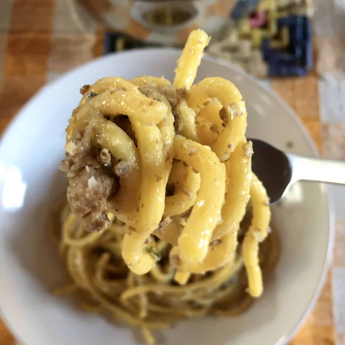Bigoli duck ragu pasta twirled on a fork ready to eat, creamy italian duck ragu with bigoli pasta bite-sized portion, homemade duck ragu recipe served and ready to enjoy.
