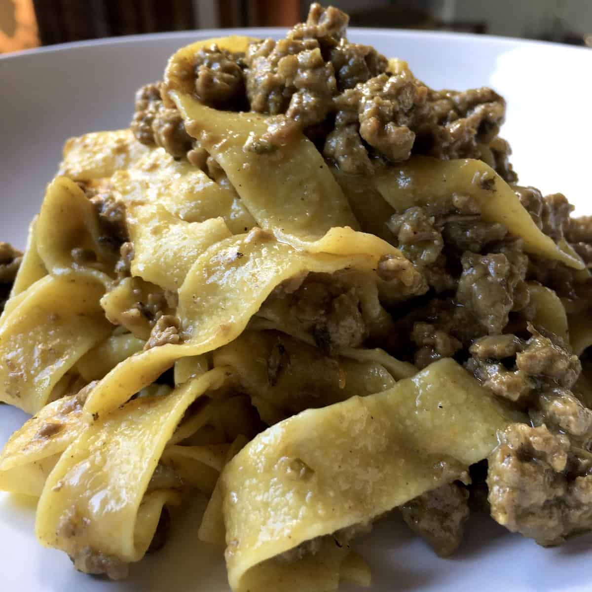 Duck ragu with pappardelle pasta served in a pasta plate, homemade northern Italian duck ragu recipe with fresh pappardelle noodles, authentic italian duck ragu plated and ready to serve.