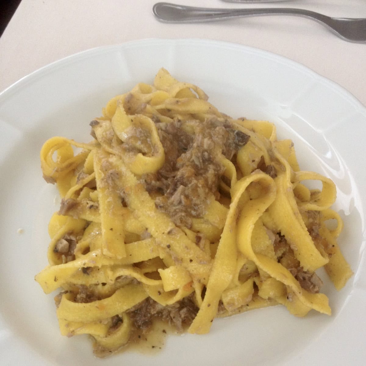 Duck ragu with pappardelle pasta from Northern Italy restaurant, homemade italian duck ragu recipe with fresh pappardelle noodles, authentic duck ragu pappardelle served in Italy.