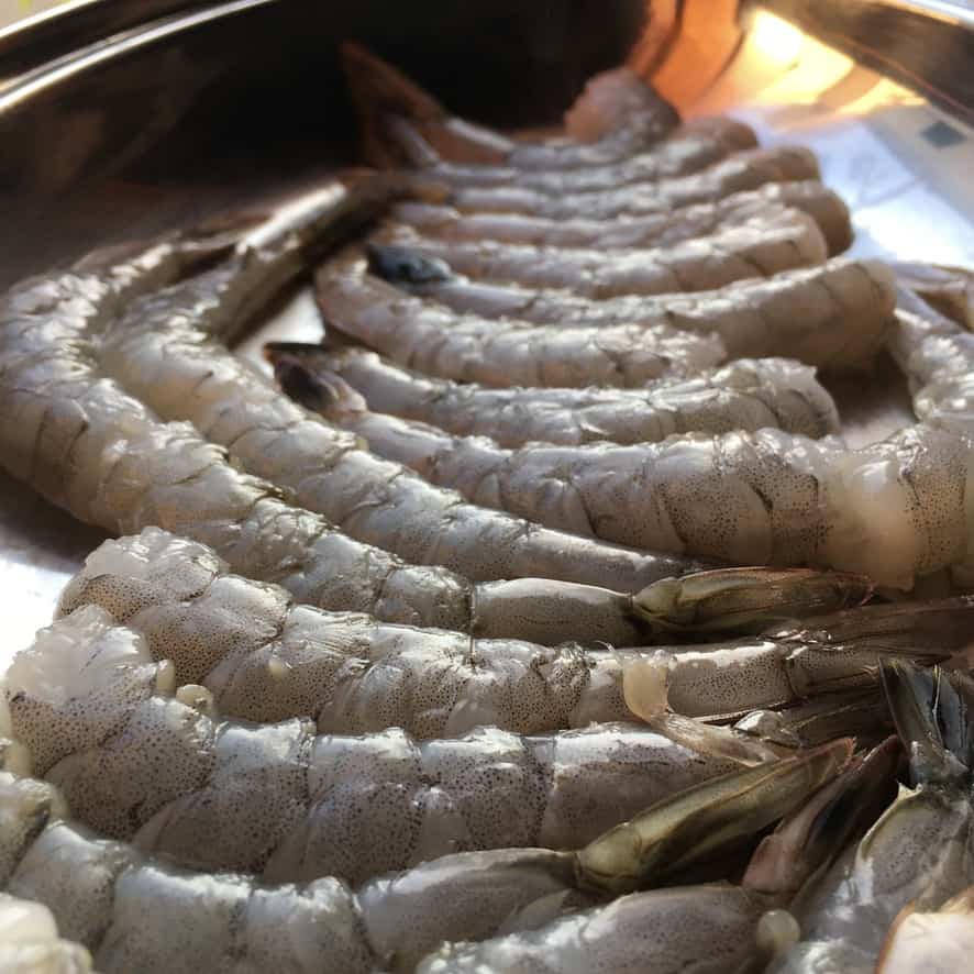 raw shrimp lined up in a single layer in shallow dish