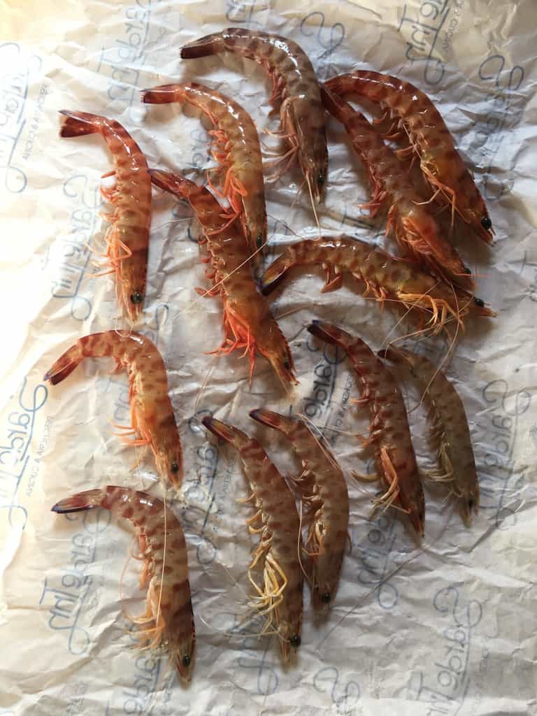mediterranean striped prawn on fishmonger paper