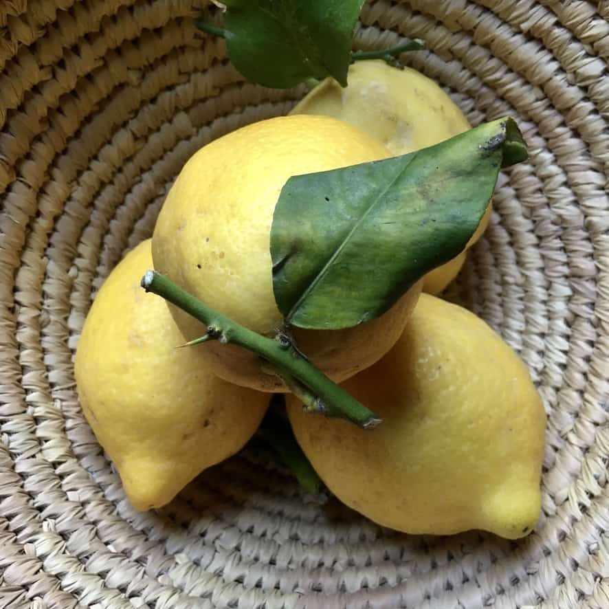 four fresh lemons with leaves in tact in a straw fruit basket