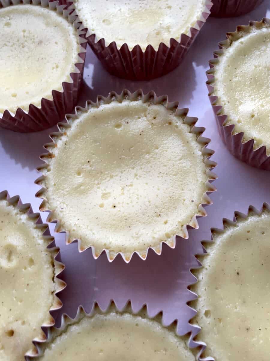 closeup of cooled mini vanilla cheesecakes in rose gold pink foil