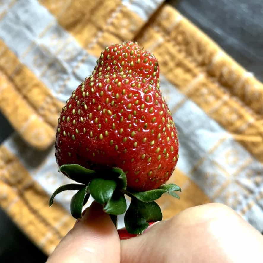 a strawberry I grew in my window box planters here in italy