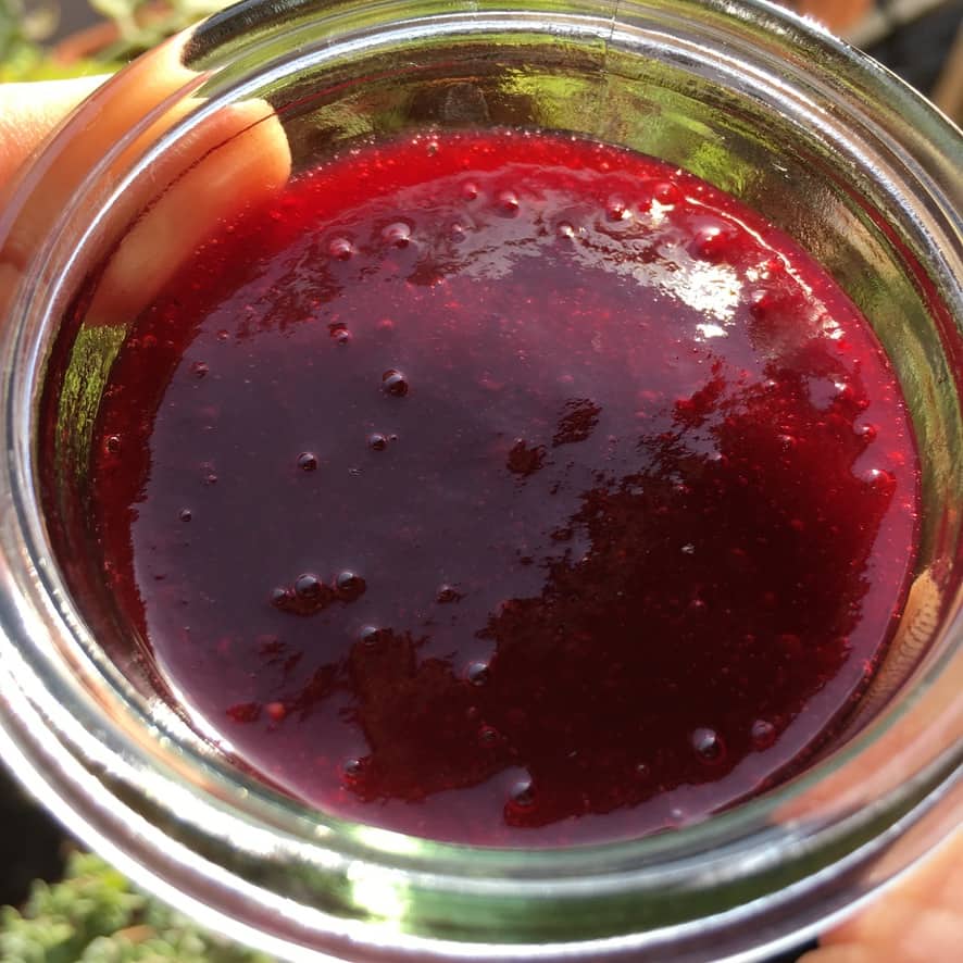 deep red berry sauce in a small weck jar in the sunlight