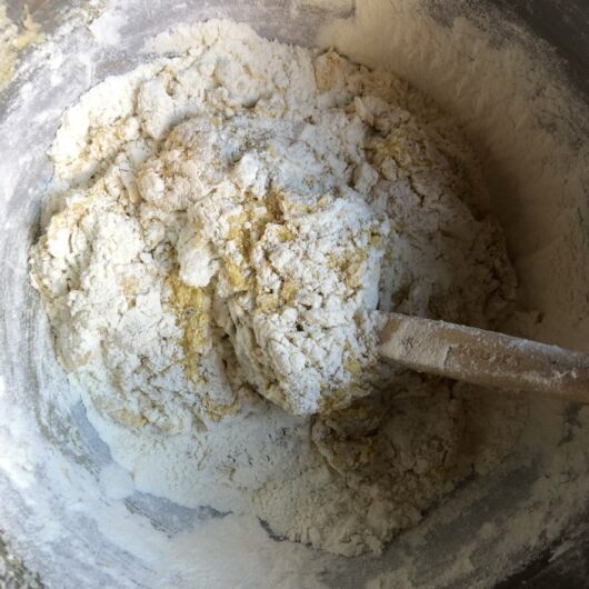 chocolate chip cookie dough just mixed (no chocolate or cookies added) and flour still being incorporated