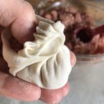 almost closed up and sealed dumpling