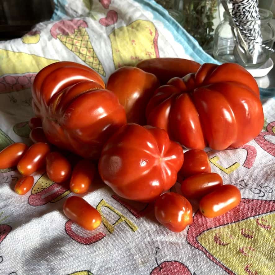 homegrown Cuore di Bue, Pera d'Abruzzo and San Marzano tomatoes on a linen kitchen towel,