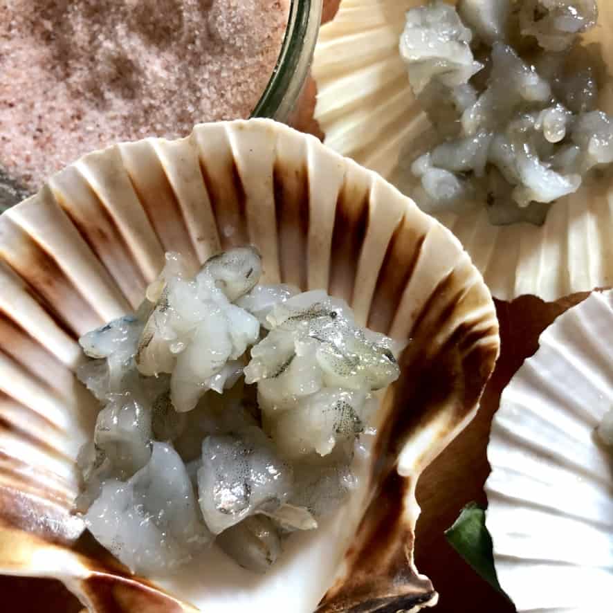 raw shrimp pieces in a scallop half shell