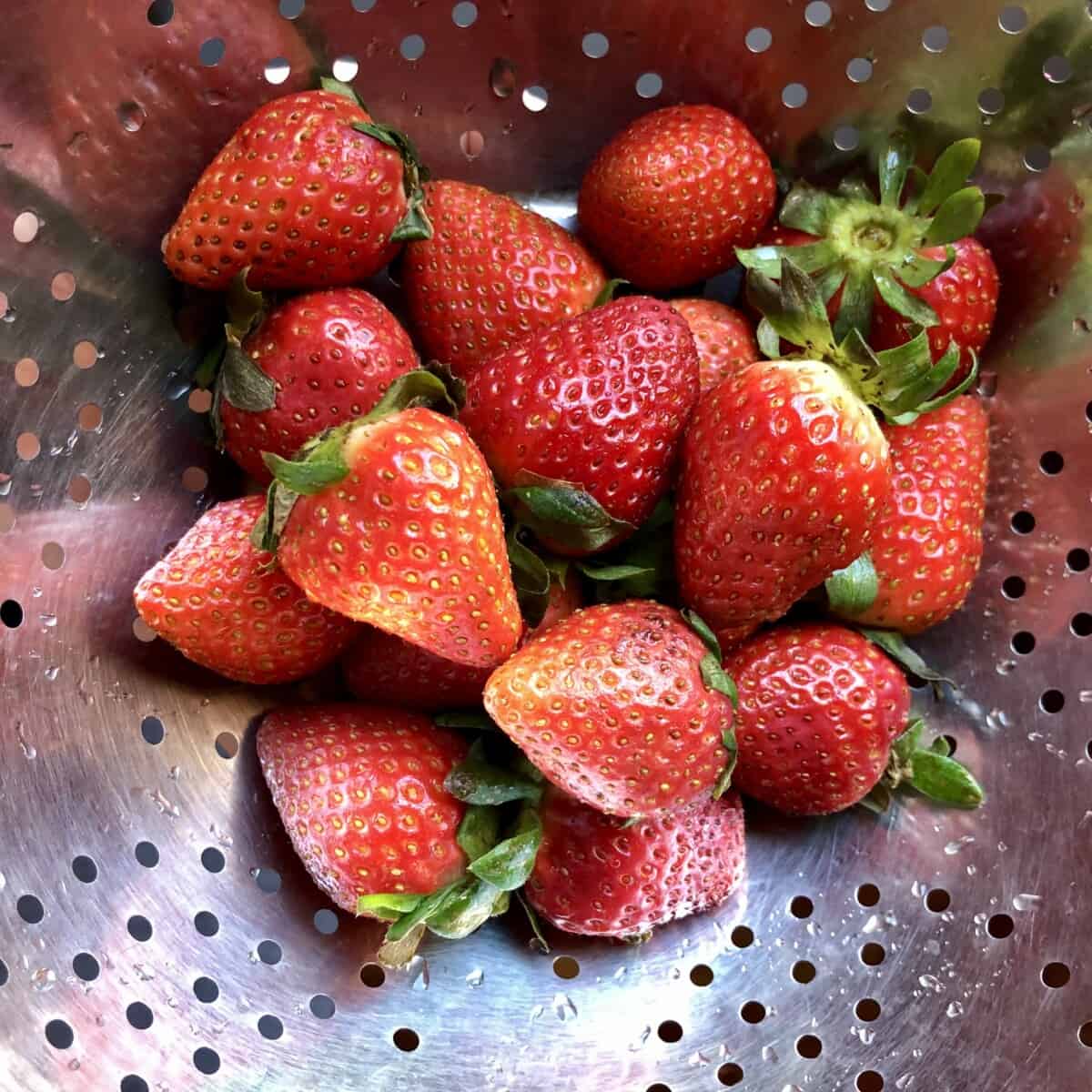 fresh strawberries in a collandar