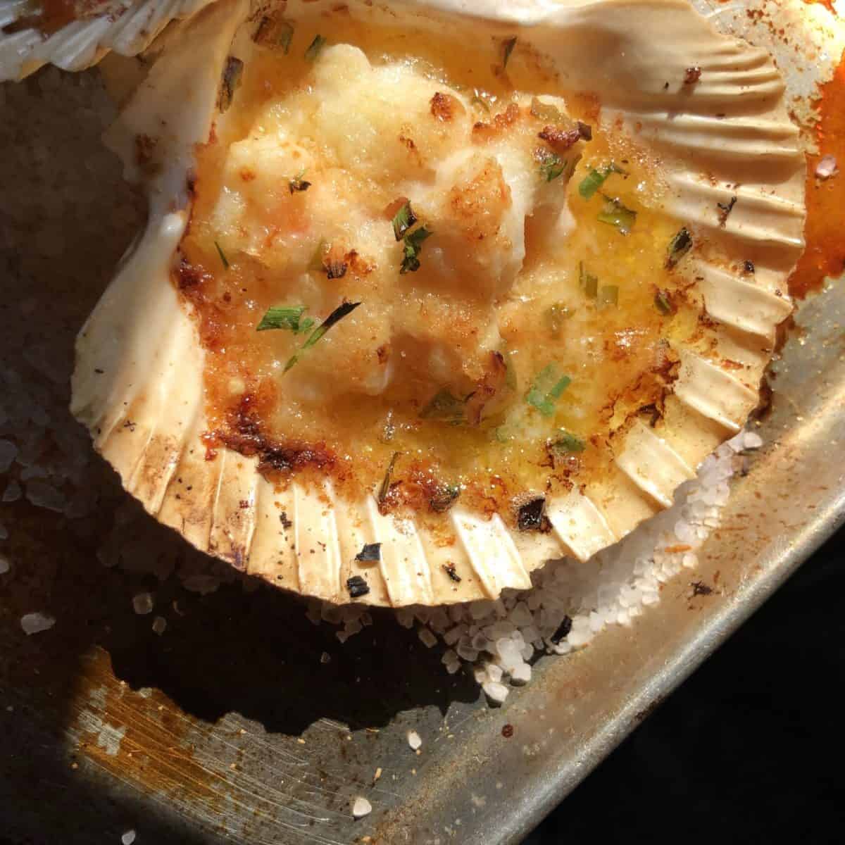 Shrimp gratin baked up with a cheesy crispy crust on top of seasoned shrimp in a scallop shell.
