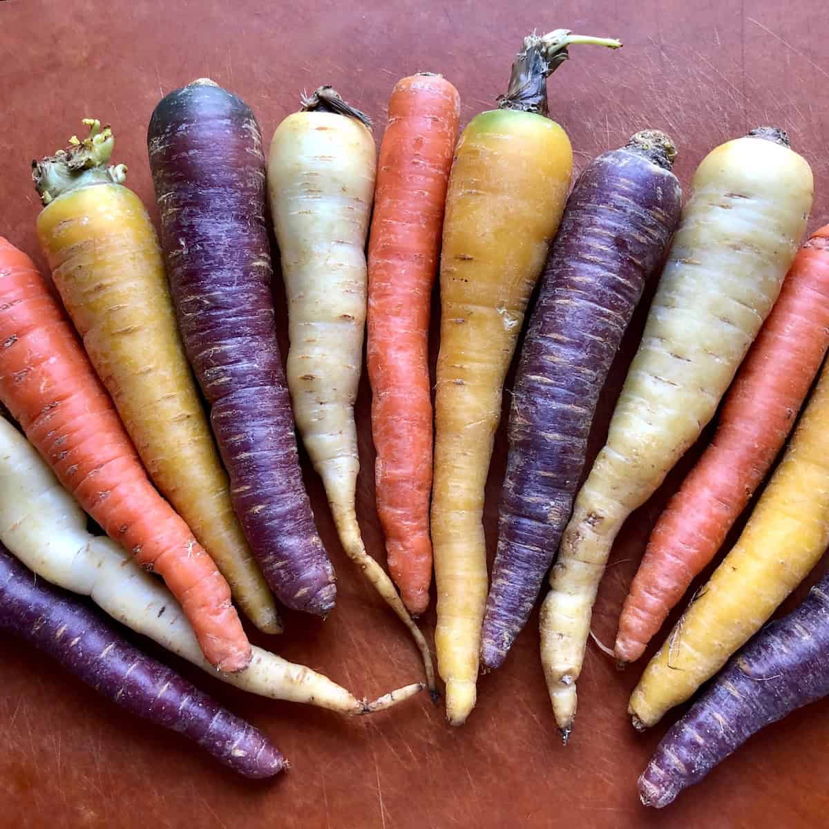 Organic rainbow carrots on a cutting board showing the different colors carrots come in - orange, white, yellow, and purple carrot varieties, unpeeled and ready for carrot cake.
